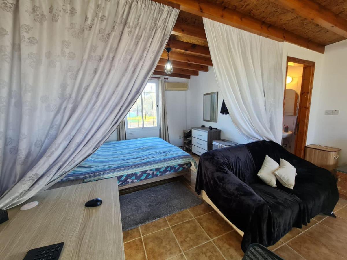 Spacious Studio In Yeroskipou Koloni 外观 照片