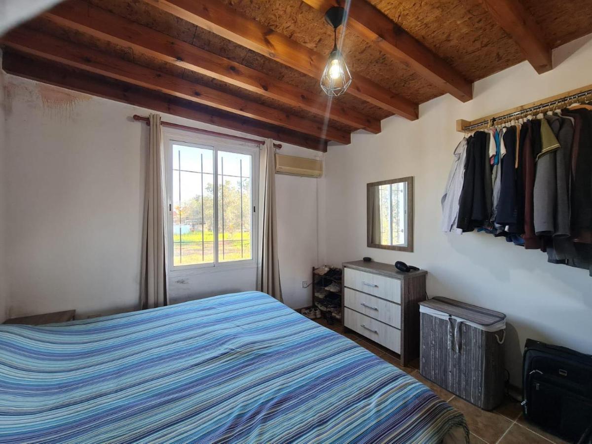 Spacious Studio In Yeroskipou Koloni 外观 照片