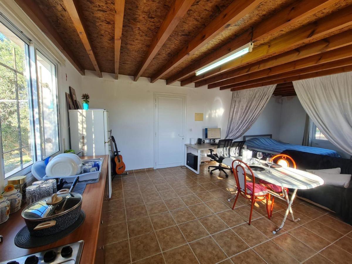 Spacious Studio In Yeroskipou Koloni 外观 照片
