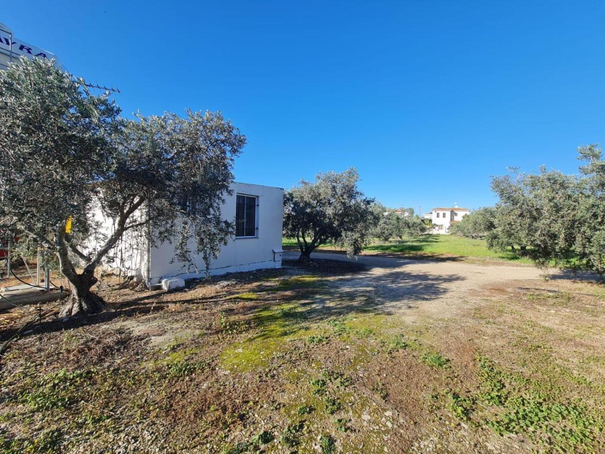 Spacious Studio In Yeroskipou Koloni 外观 照片